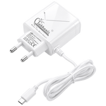 CH-040 | 2USB Type-C Smart Charger
