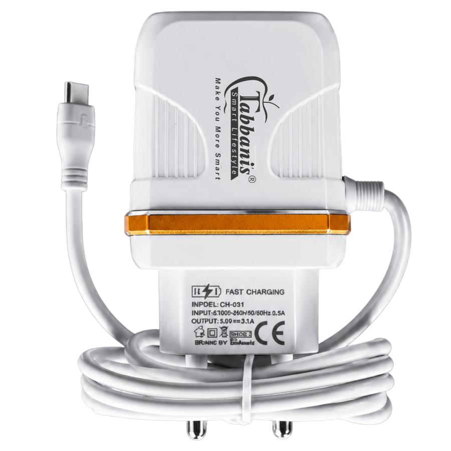 CH-031  | Type-C Smart Charger
