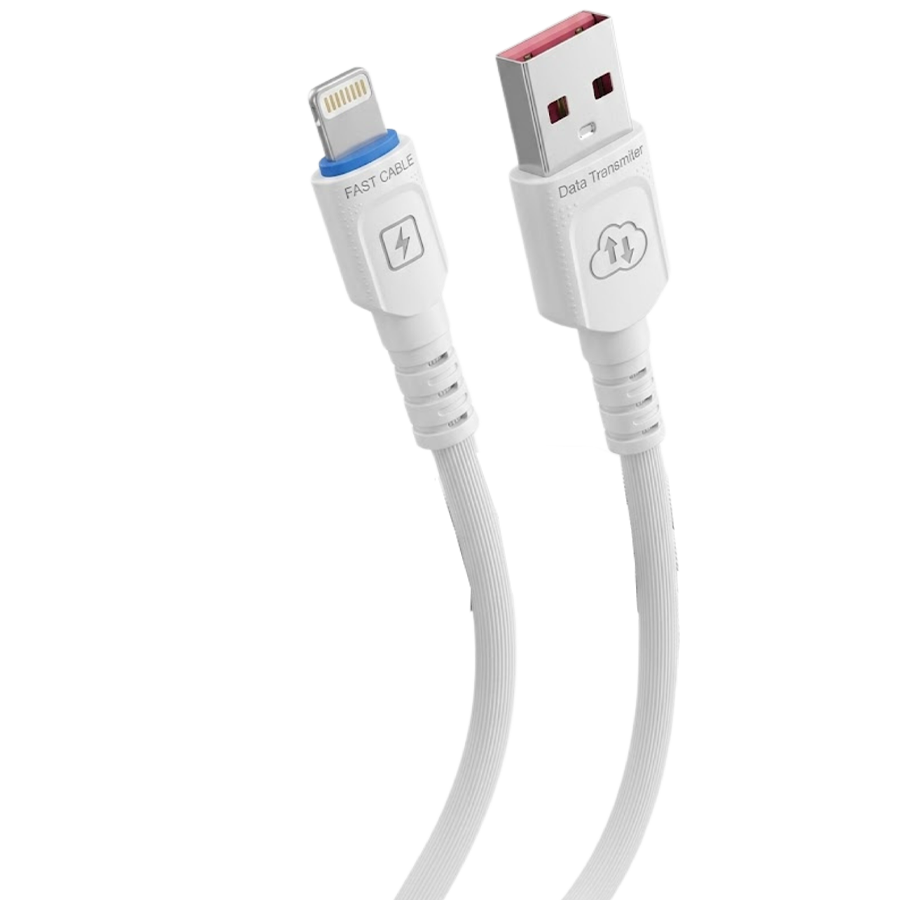 CA-401 | iPhone Charging Cable