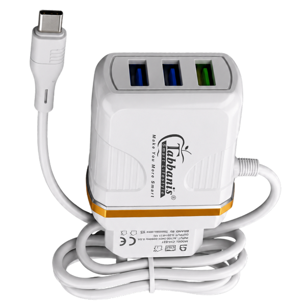 CH-031  | Type-C Smart Charger