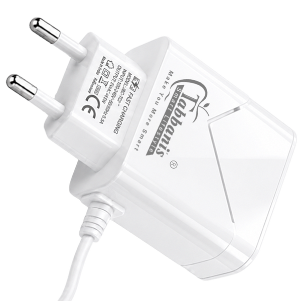 CH-040 | 2USB Type-C Smart Charger