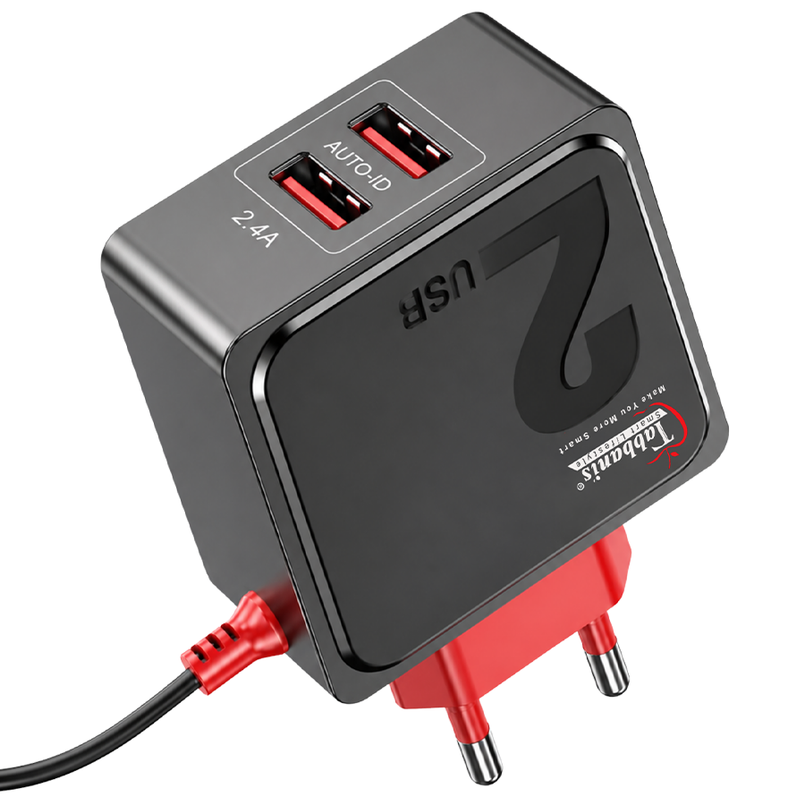 V8 | CH-908 | 2USB CHARGER