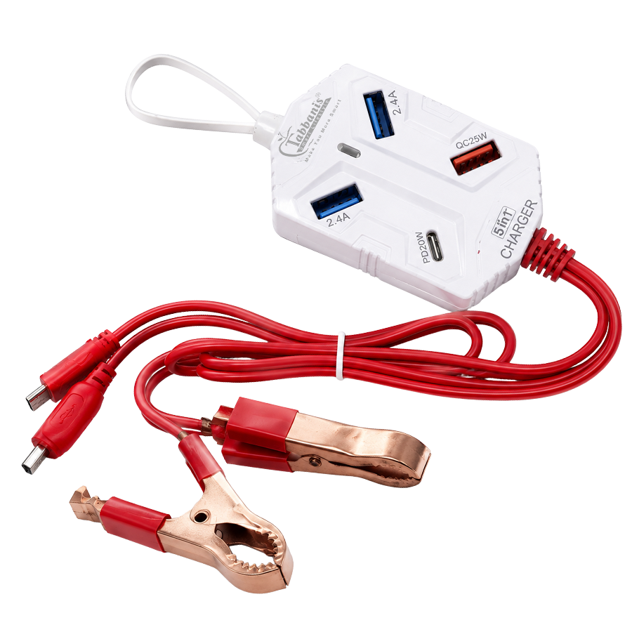 CL-004 25W | MICRO & TYPE'C' CLIP CHARGER
